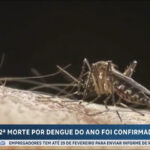 cidade-do-rio-de-janeiro-confirma-a-segunda-morte-por-dengue-no-ano