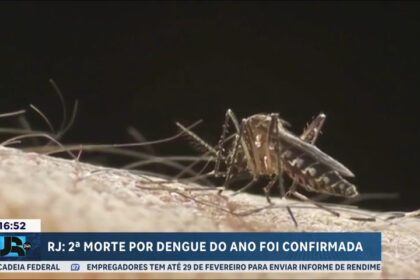 cidade-do-rio-de-janeiro-confirma-a-segunda-morte-por-dengue-no-ano