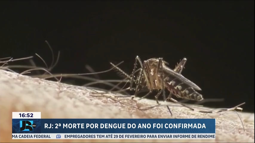 cidade-do-rio-de-janeiro-confirma-a-segunda-morte-por-dengue-no-ano