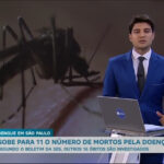 sobe-para-11-o-numero-de-mortos-pela-dengue-em-sao-paulo