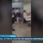 brasil-tem-84-mortes-confirmadas-por-dengue-em-2024