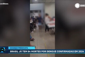 brasil-tem-84-mortes-confirmadas-por-dengue-em-2024