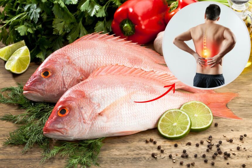 peixe-pargo-e-remoso?-sera-que-ele-piora-a-inflamacao?-descubra-agora!