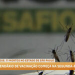 sobe-para-11-o-numero-de-mortos-pela-dengue-em-sao-paulo