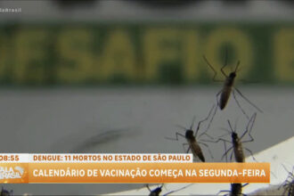 sobe-para-11-o-numero-de-mortos-pela-dengue-em-sao-paulo