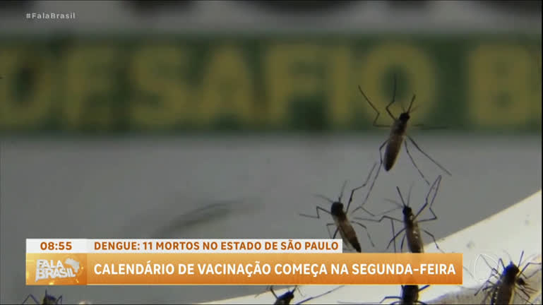 sobe-para-11-o-numero-de-mortos-pela-dengue-em-sao-paulo