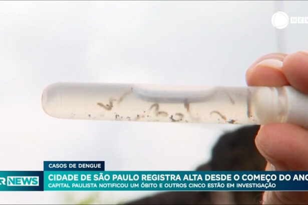 casos-de-dengue-na-capital-paulista-saltam-para-14-mil;-ja-foram-registradas-15-mortes-pela-doenca