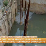 saiba-qual-e-o-repelente-ideal-contra-o-mosquito-da-dengue