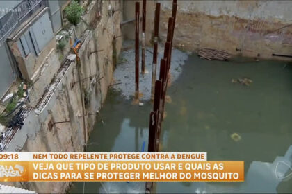 saiba-qual-e-o-repelente-ideal-contra-o-mosquito-da-dengue