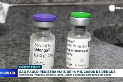 itaquera-lidera-ranking-de-dengue-em-sao-paulo-com-quase-800-casos;-campo-limpo-esta-em-segundo