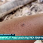 dengue-e-covid-juntas-podem-levar-a-quadro-critico,-diz-subsecretario-do-rio-de-janeiro