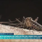 sete-estados-do-brasil-estao-em-crise-devido-a-dengue