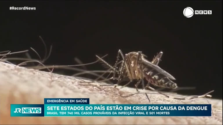 sete-estados-do-brasil-estao-em-crise-devido-a-dengue