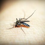 nove-cidades-da-baixada-fluminense-iniciam-vacinacao-de-criancas-de-10-e-11-anos-contra-dengue