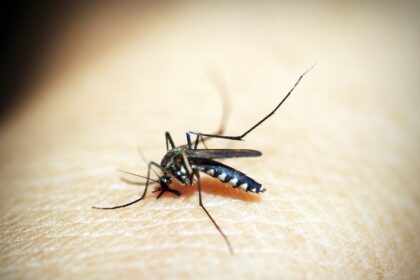 nove-cidades-da-baixada-fluminense-iniciam-vacinacao-de-criancas-de-10-e-11-anos-contra-dengue