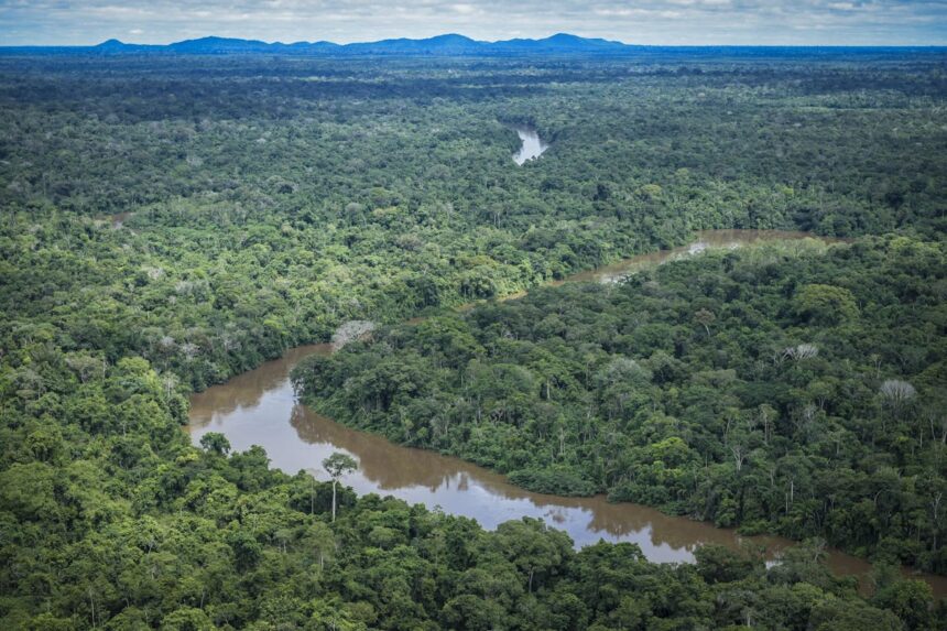 brasil-precisa-ser-parte-da-solucao-ambiental,-diz-especialista-em-bioeconomia