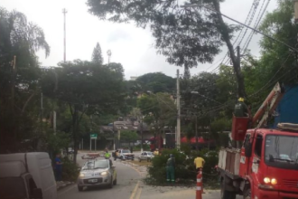 avenida-joao-b.-medina-tem-trecho-bloqueado-por-poda-de-arvores-em-embu-das-artes