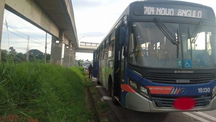 engavetamento-entre-onibus,-caminhao-e-carro-na-rodovia-campinas-monte-mor