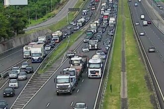 caminhao-com-pane-mecanica-na-rodovia-dom-pedro-i-em-campinas