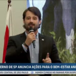 governo-de-sao-paulo-anuncia-acoes-para-promover-o-bem-estar-animal