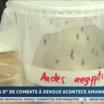 dia-d-nacional-de-combate-a-dengue-sera-realizado-no-proximo-sabado-(2)