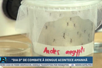 dia-d-nacional-de-combate-a-dengue-sera-realizado-no-proximo-sabado-(2)