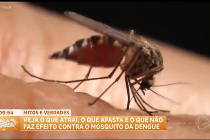 dengue:-especialista-esclarece-mitos-e-verdades-sobre-o-que-atrai-ou-afasta-o-mosquito