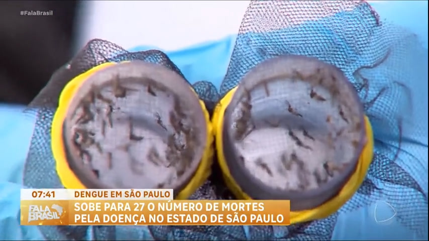 sobe-para-27-o-numero-de-mortes-por-dengue-no-estado-de-sao-paulo