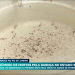 sobe-para-15-o-numero-de-mortes-por-dengue-no-rio-de-janeiro