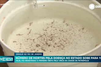 sobe-para-15-o-numero-de-mortes-por-dengue-no-rio-de-janeiro