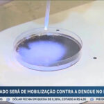 ministerio-da-saude-planeja-dia-nacional-de-mobilizacao-contra-a-dengue-neste-sabado-(2)