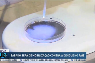 ministerio-da-saude-planeja-dia-nacional-de-mobilizacao-contra-a-dengue-neste-sabado-(2)