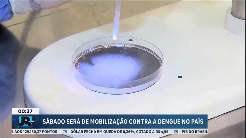 ministerio-da-saude-planeja-dia-nacional-de-mobilizacao-contra-a-dengue-neste-sabado-(2)