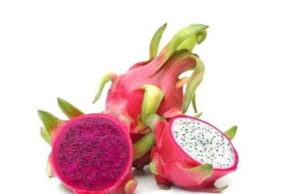 descubra-os-beneficios-do-cha-de-pitaya-e-como-preparar!