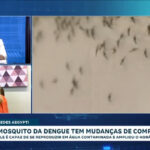 mosquito-da-dengue-age-de-dia-ou-a-noite,-alerta-medica-infectologista