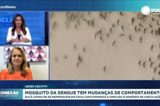 mosquito-da-dengue-age-de-dia-ou-a-noite,-alerta-medica-infectologista