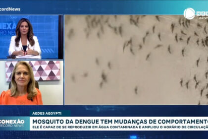 mosquito-da-dengue-age-de-dia-ou-a-noite,-alerta-medica-infectologista