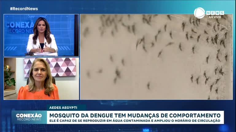 mosquito-da-dengue-age-de-dia-ou-a-noite,-alerta-medica-infectologista