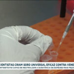 cientistas-criam-soro-universal-eficaz-contra-venenos-de-diversas-especies-de-cobras