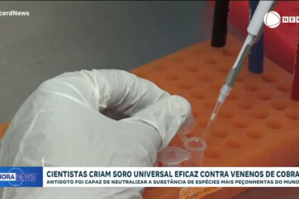 cientistas-criam-soro-universal-eficaz-contra-venenos-de-diversas-especies-de-cobras