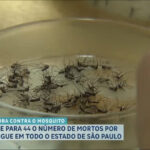 sobe-para-44-o-numero-de-mortes-por-dengue-em-sp