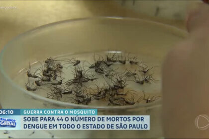 sobe-para-44-o-numero-de-mortes-por-dengue-em-sp