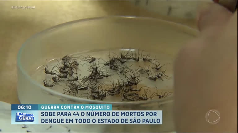 sobe-para-44-o-numero-de-mortes-por-dengue-em-sp