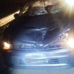 pedestre-morre-apos-ser-atropelado-por-automovel-na-sp-225-em-bauru