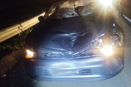 pedestre-morre-apos-ser-atropelado-por-automovel-na-sp-225-em-bauru