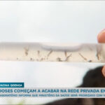 vacina-da-dengue-comeca-a-faltar-na-rede-privada-em-sao-paulo