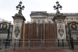 homem-e-preso-apos-carro-bater-nos-portoes-do-palacio-de-buckingham