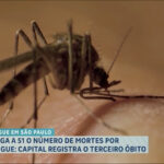 numero-de-mortes-por-dengue-chega-a-51-no-estado-de-sp