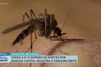 numero-de-mortes-por-dengue-chega-a-51-no-estado-de-sp