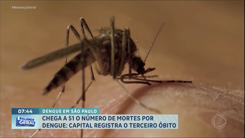 numero-de-mortes-por-dengue-chega-a-51-no-estado-de-sp